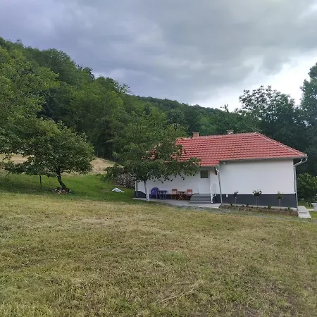 Vitovnicki Mir Villa Petrovac na Mlavi