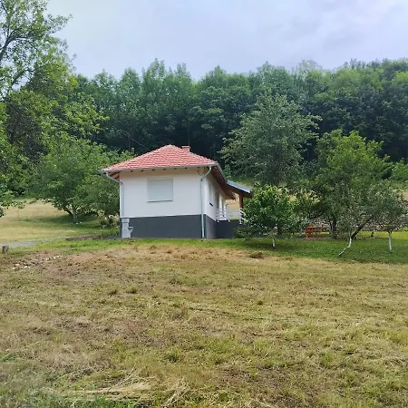 Vila Vitovnicki Mir Petrovac na Mlavi