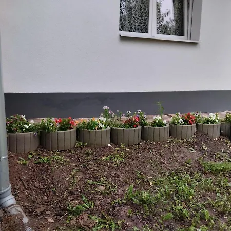 Vila Vitovnicki Mir Petrovac na Mlavi