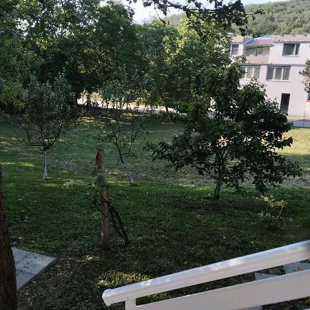 Vitovnicki Mir Opština Petrovac na Mlavi