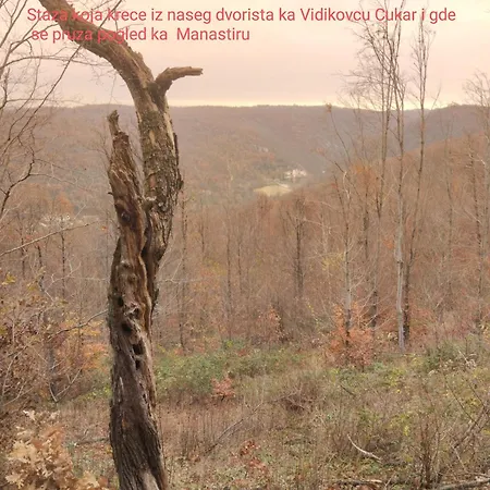 Vitovnicki Mir Opština Petrovac na Mlavi