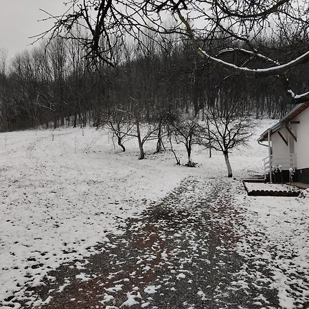 Villa Vitovnicki Mir