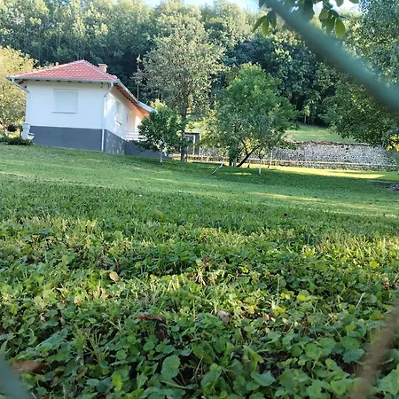Vitovnicki Mir
