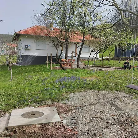 Vitovnicki Mir Villa *