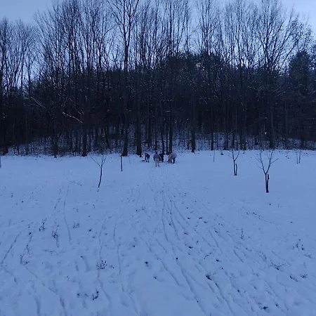 Villa Vitovnicki Mir