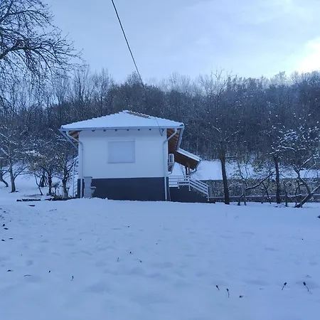 Vitovnicki Mir Villa *