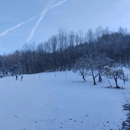 Vila Vitovnicki Mir Petrovac na Mlavi