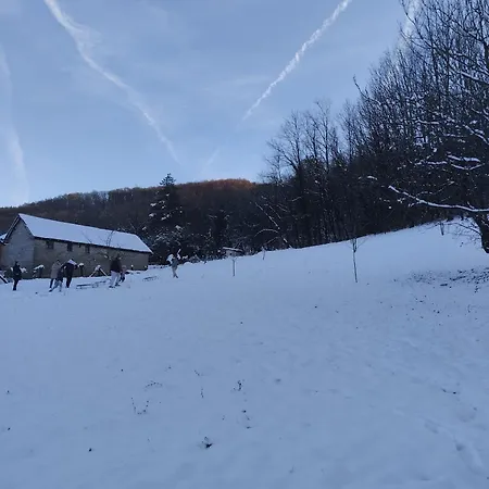 Vitovnicki Mir Petrovac na Mlavi