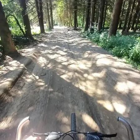 Vitovnicki Mir * Petrovac na Mlavi