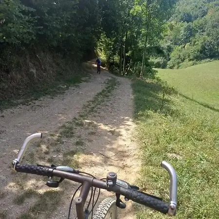 Vitovnicki Mir Villa *