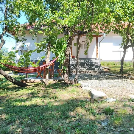 Vitovnicki Mir Villa Opština Petrovac na Mlavi