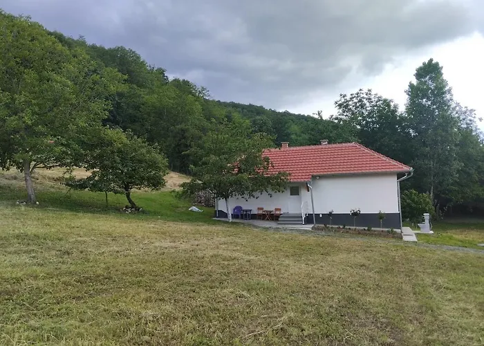 Vitovnicki Mir Villa Petrovac na Mlavi