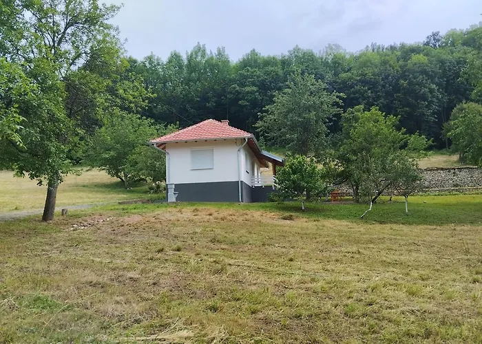 Villa Vitovnicki Mir Petrovac na Mlavi