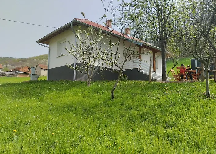 Vitovnicki Mir Villa *