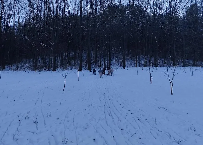 Villa Vitovnicki Mir