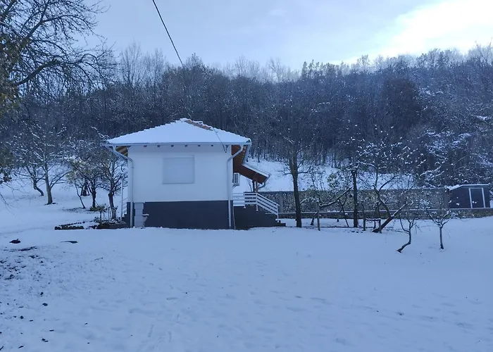 Vitovnicki Mir Villa Petrovac na Mlavi