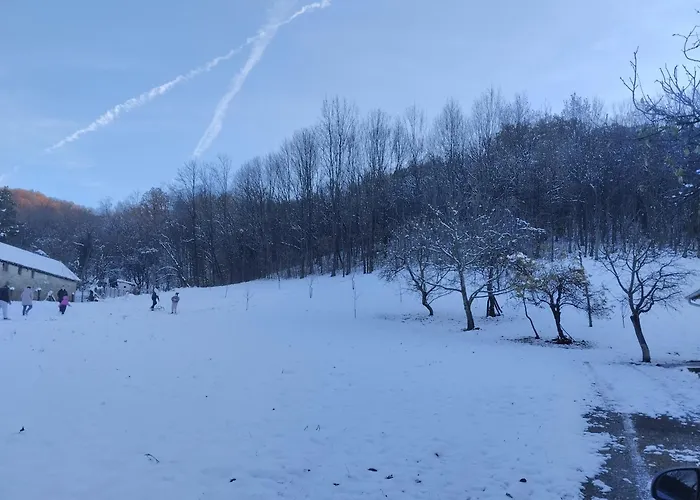 Villa Vitovnicki Mir Petrovac na Mlavi