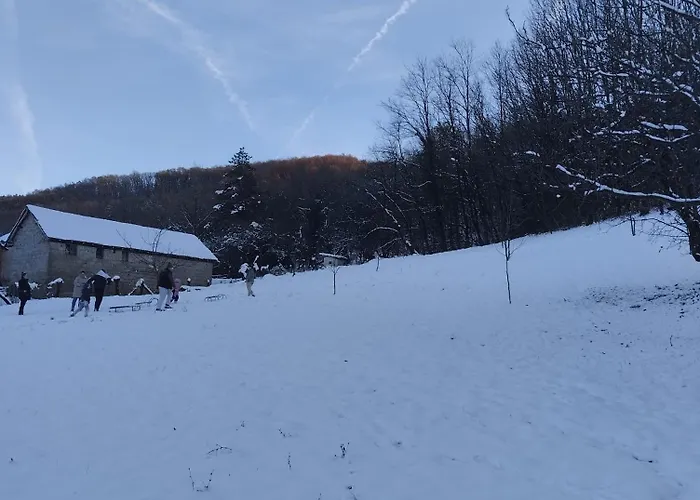 Vitovnicki Mir Petrovac na Mlavi