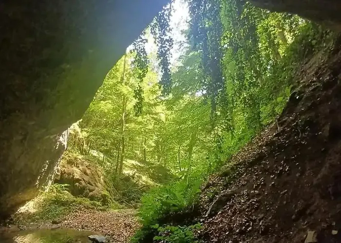 Vitovnicki Mir Villa *