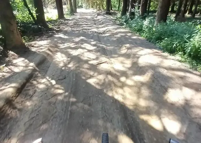 Vitovnicki Mir * Petrovac na Mlavi