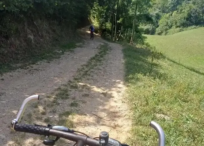 Vitovnicki Mir Villa *