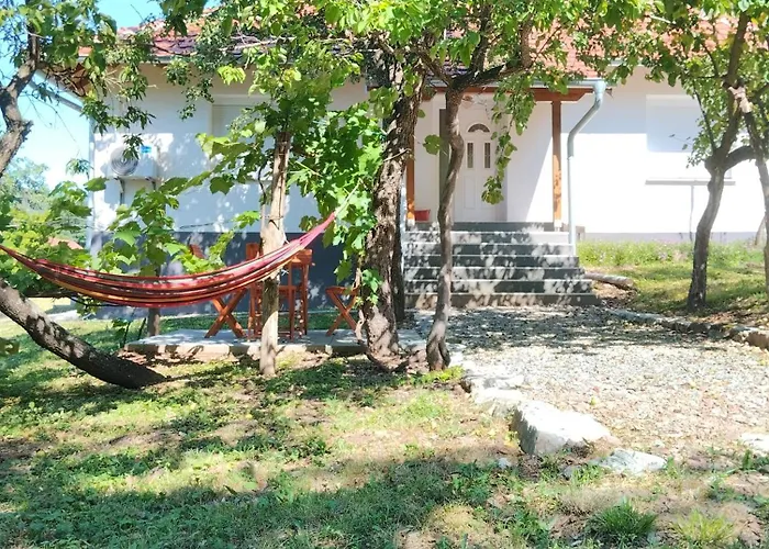 Vitovnicki Mir Villa Petrovac na Mlavi